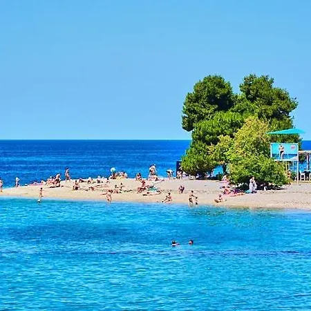 Golden * Zadar